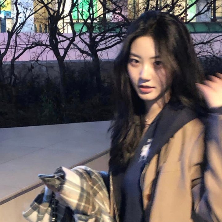 奇幻森林之兽语小子